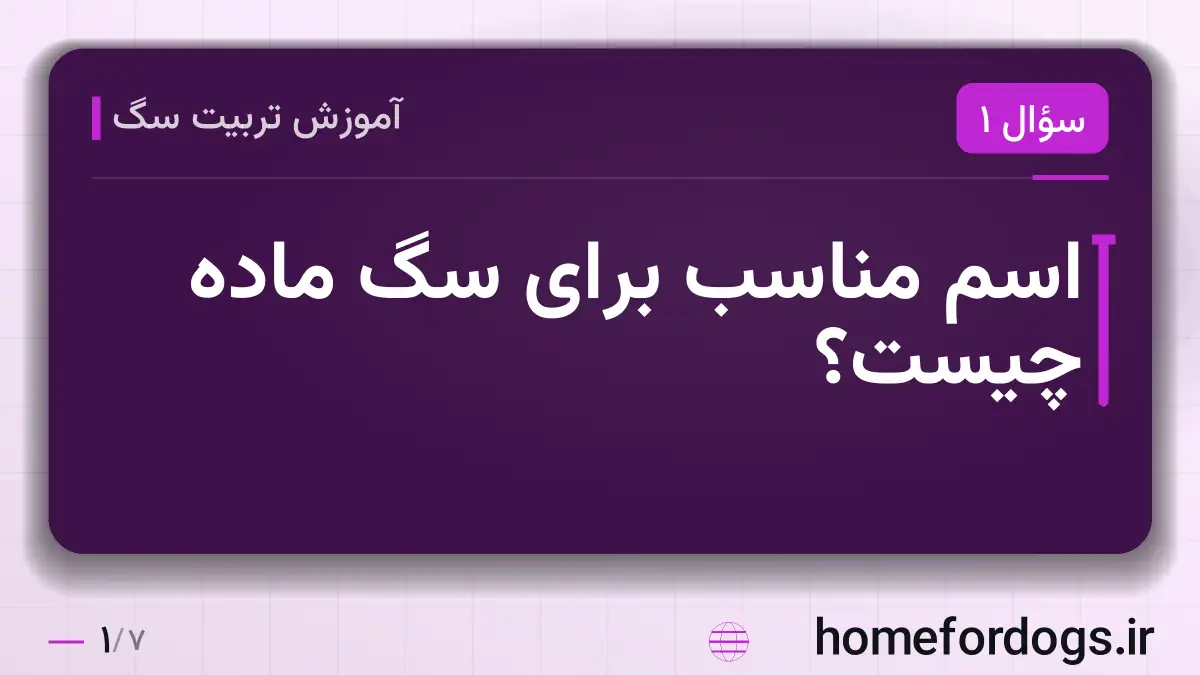 اسم مناسب برای سگ ماده چیست؟