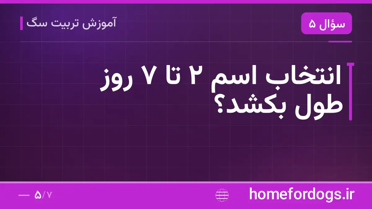 انتخاب اسم ۲ تا ۷ روز طول بکشد؟