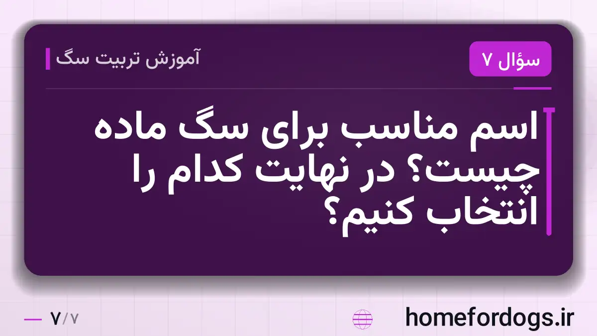 اسم مناسب برای سگ ماده چیست؟ در نهایت کدام را انتخاب کنیم؟