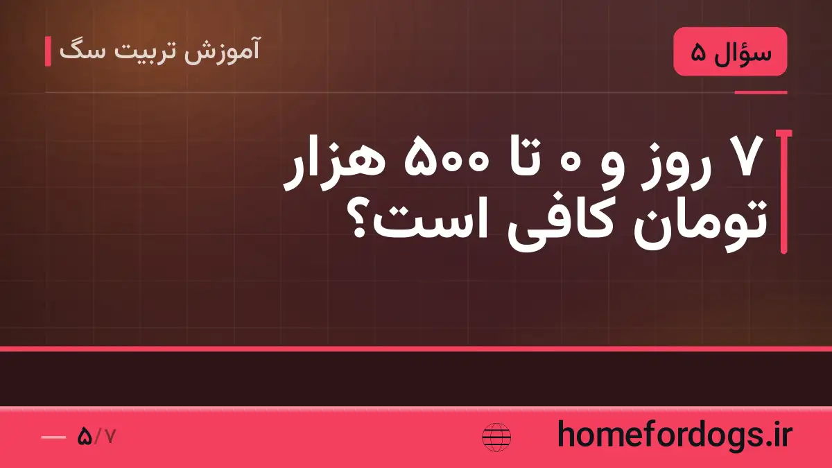۷ روز و ۰ تا ۵۰۰ هزار تومان کافی است؟