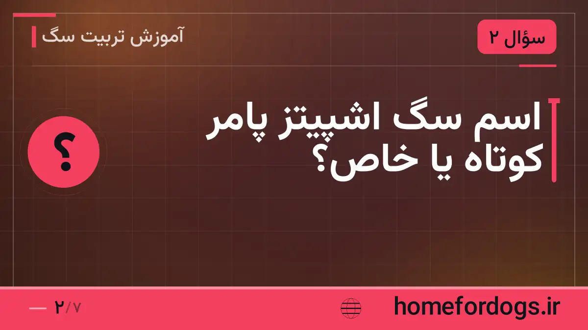 اسم سگ اشپیتز پامر کوتاه یا خاص؟