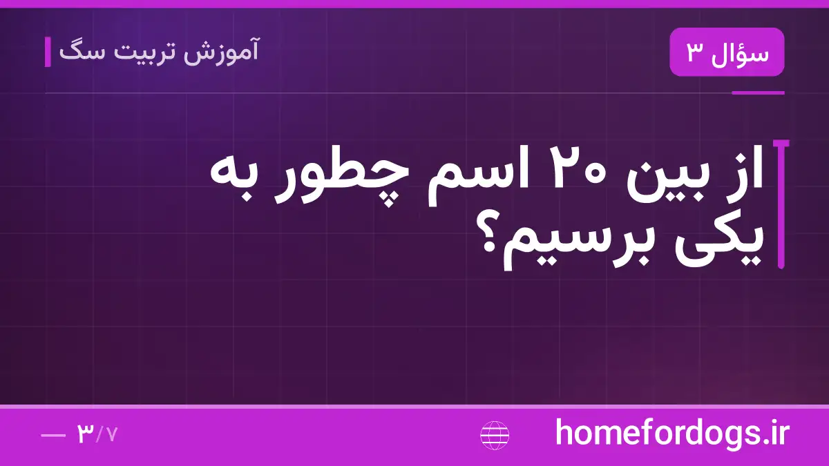 از بین ۲۰ اسم چطور به یکی برسیم؟