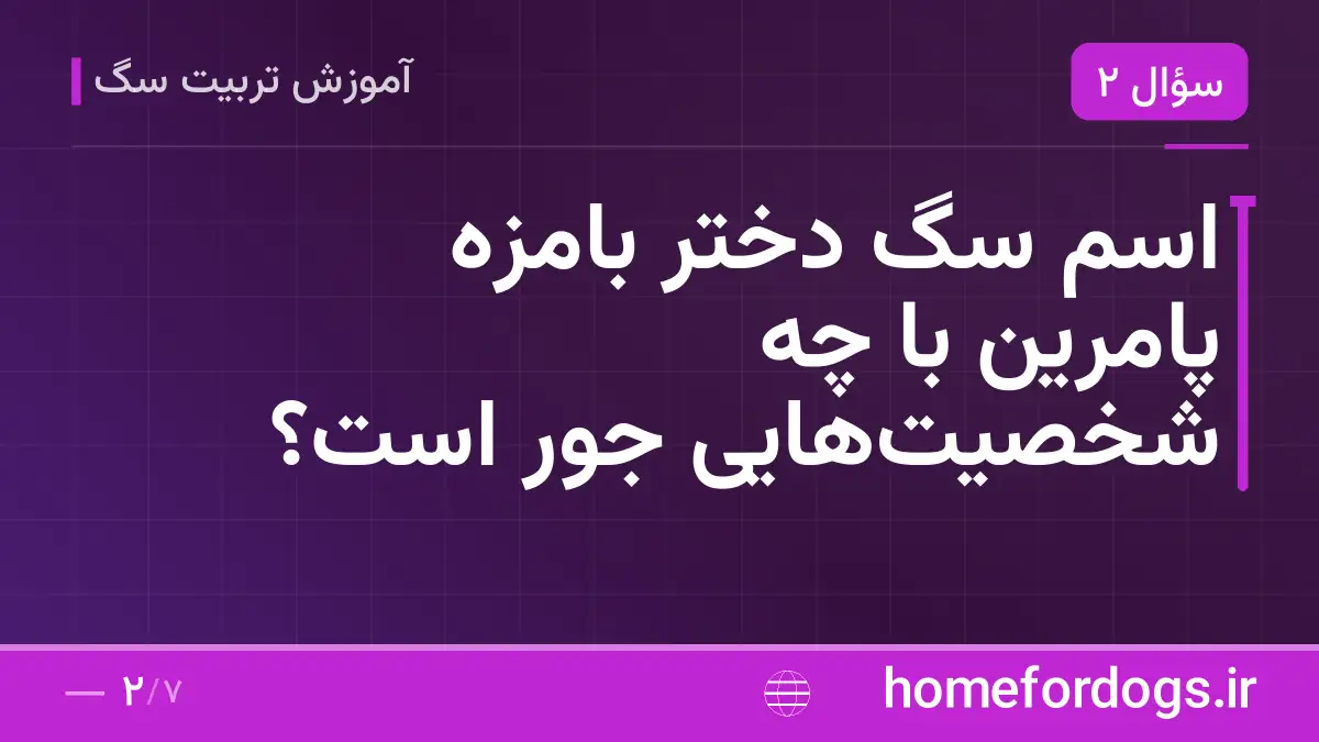 اسم سگ دختر بامزه پامرین با چه شخصیتهایی جور است؟