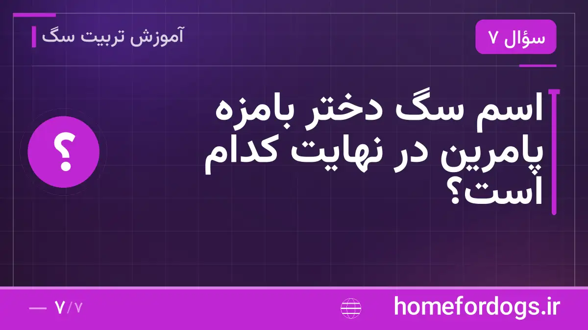 اسم سگ دختر بامزه پامرین در نهایت کدام است؟