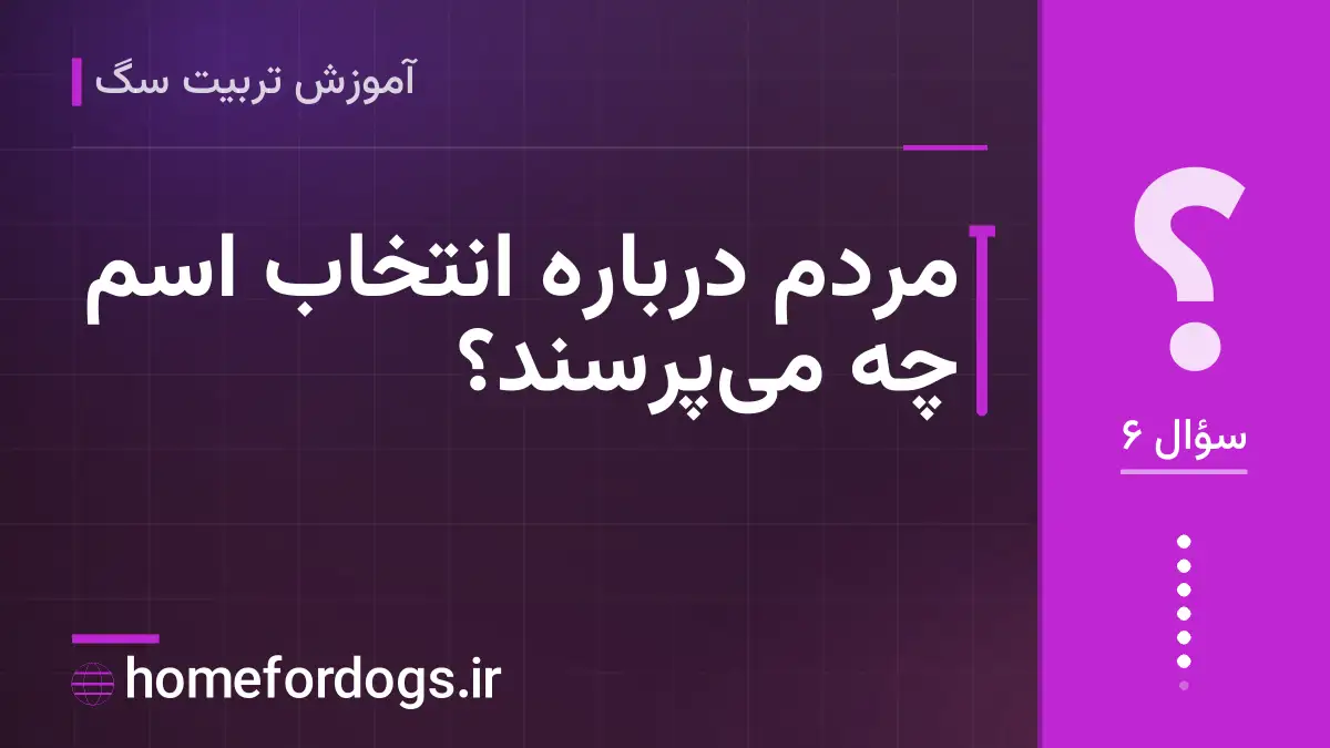 مردم درباره انتخاب اسم چه میپرسند؟