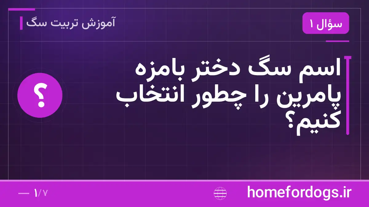اسم سگ دختر بامزه پامرین را چطور انتخاب کنیم؟
