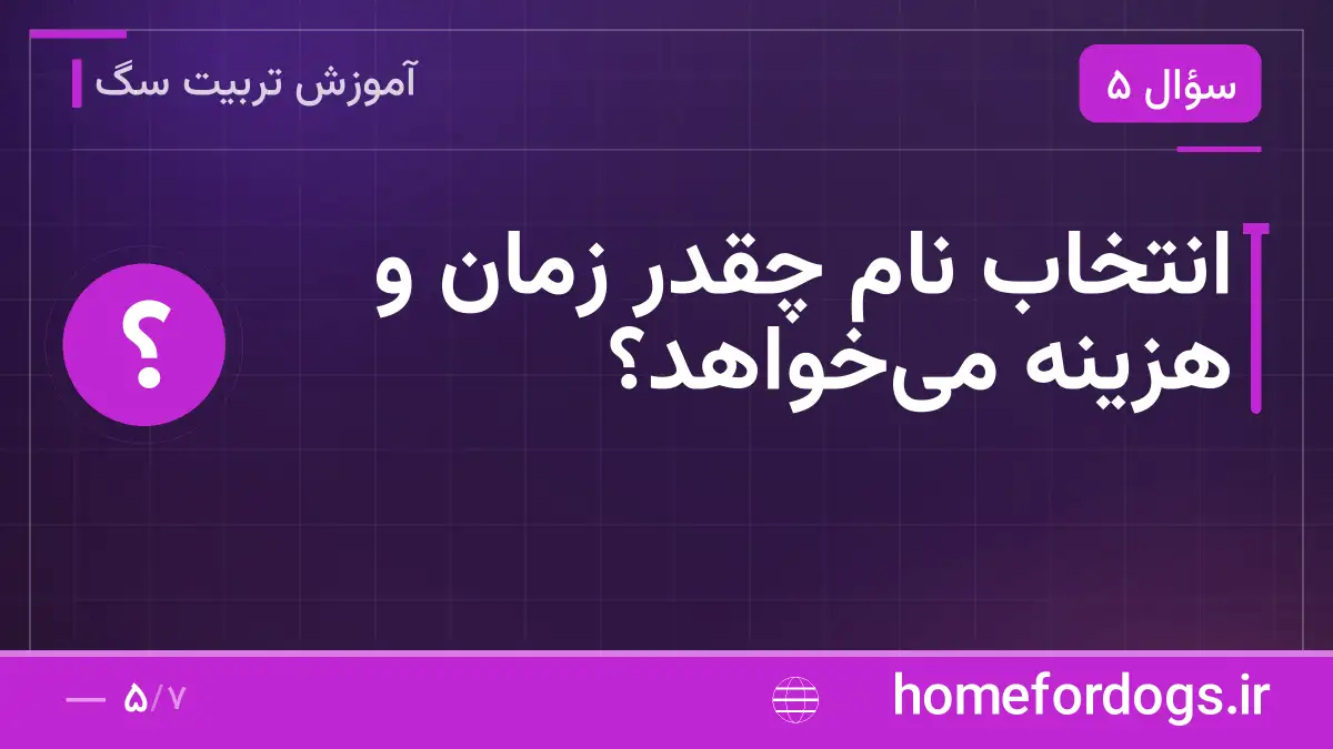 انتخاب نام چقدر زمان و هزینه می‌خواهد؟