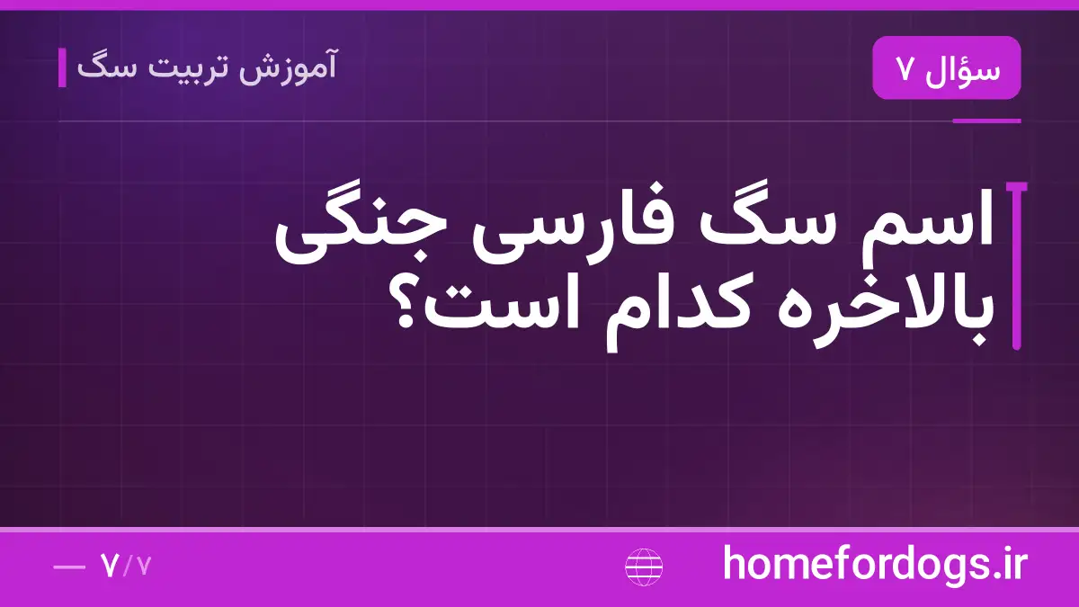 اسم سگ فارسی جنگی بالاخره کدام است؟