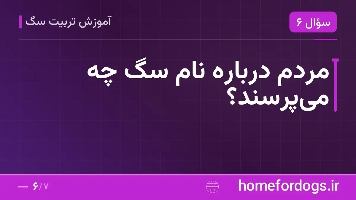 مردم درباره نام سگ چه می‌پرسند؟