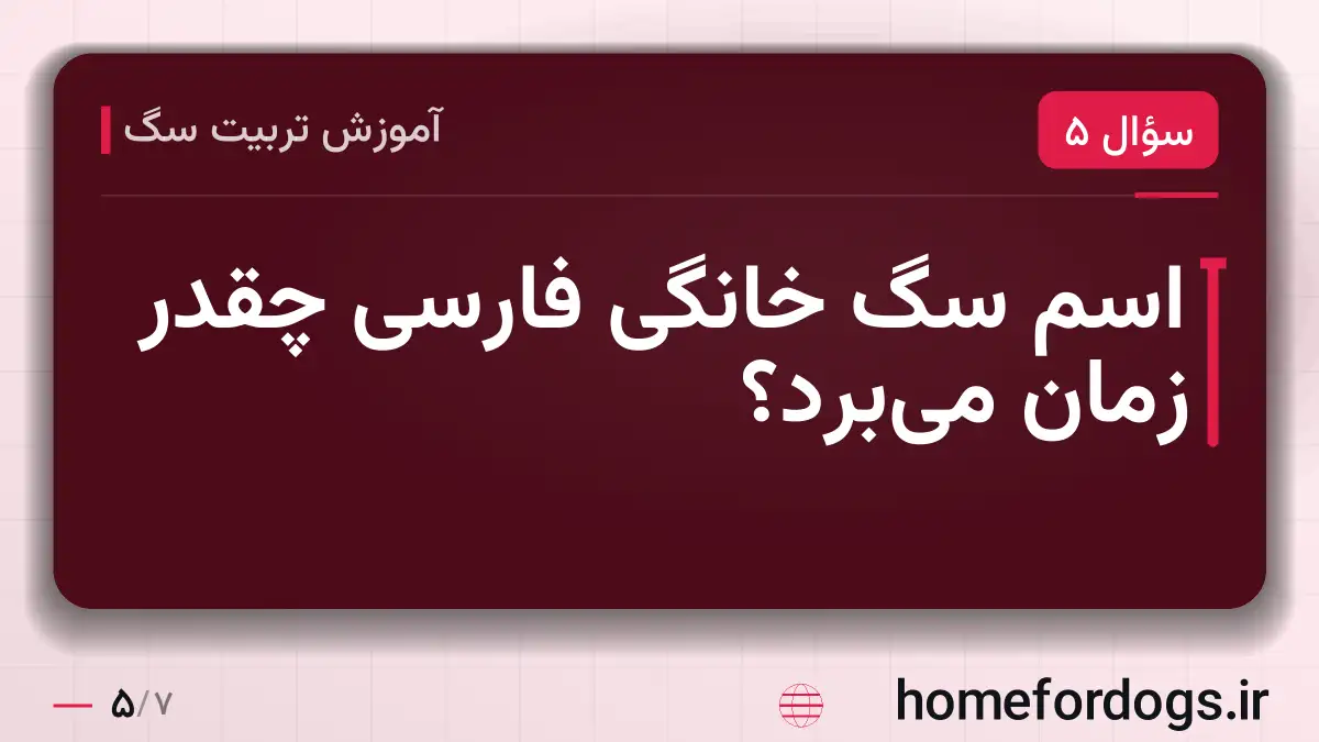 اسم سگ خانگی فارسی چقدر زمان می‌برد؟