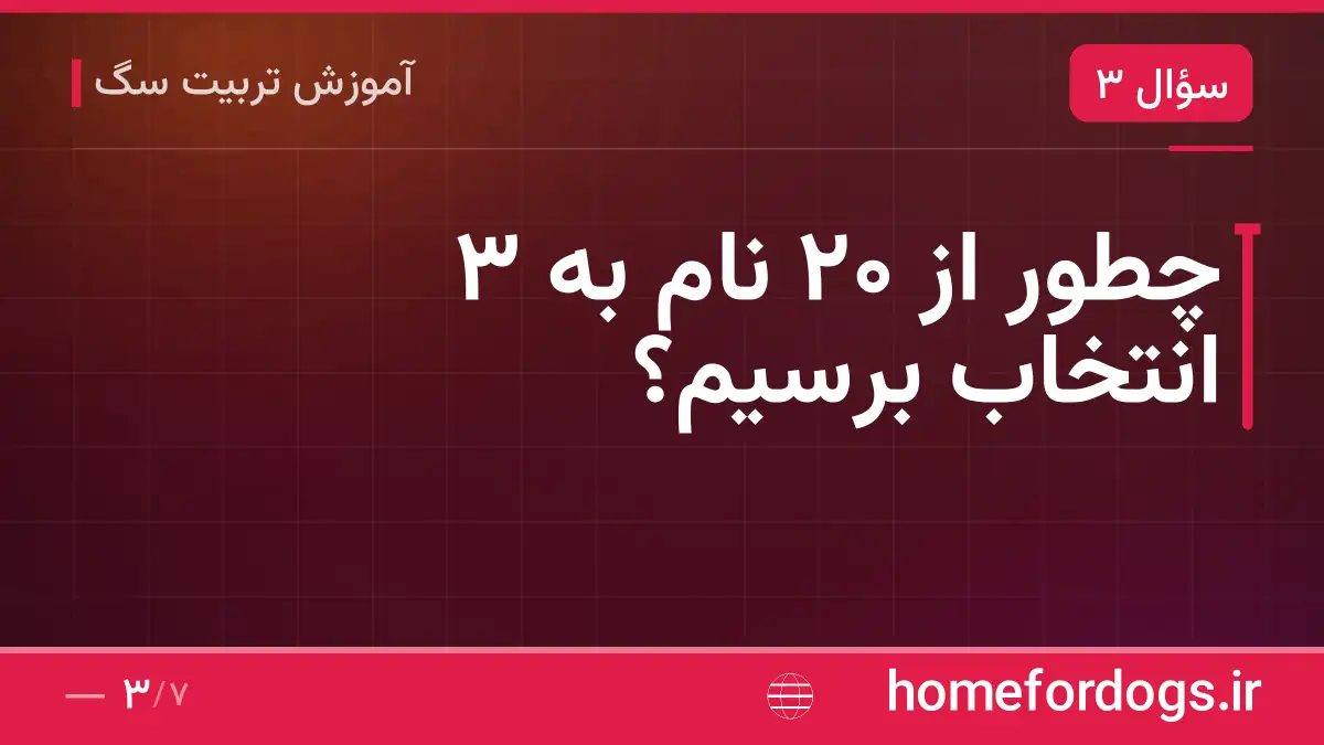 چطور از ۲۰ نام به ۳ انتخاب برسیم؟