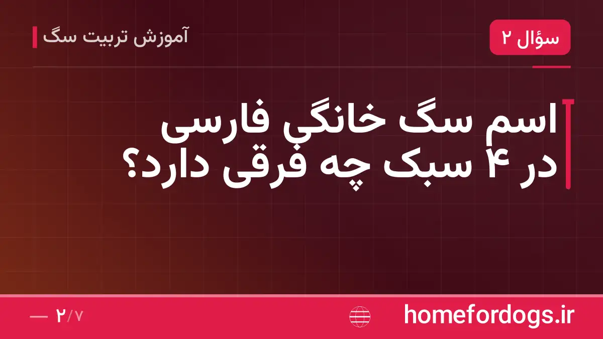 اسم سگ خانگی فارسی در ۴ سبک چه فرقی دارد؟