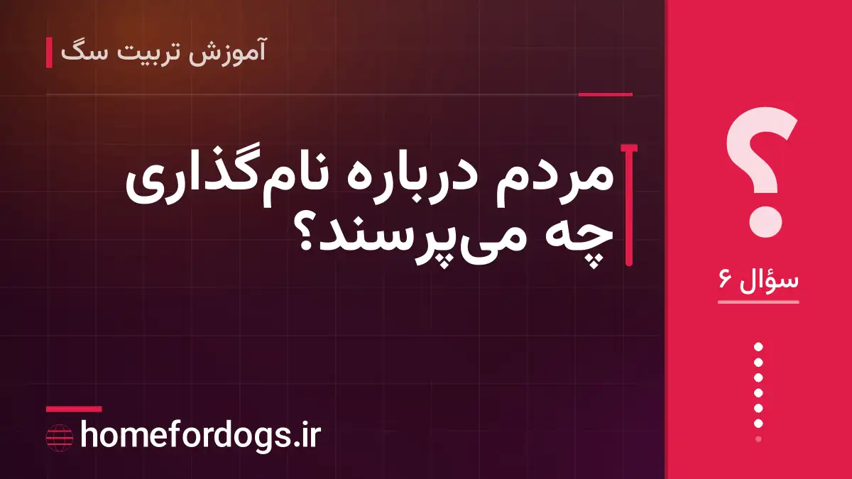 مردم درباره نام‌گذاری چه می‌پرسند؟