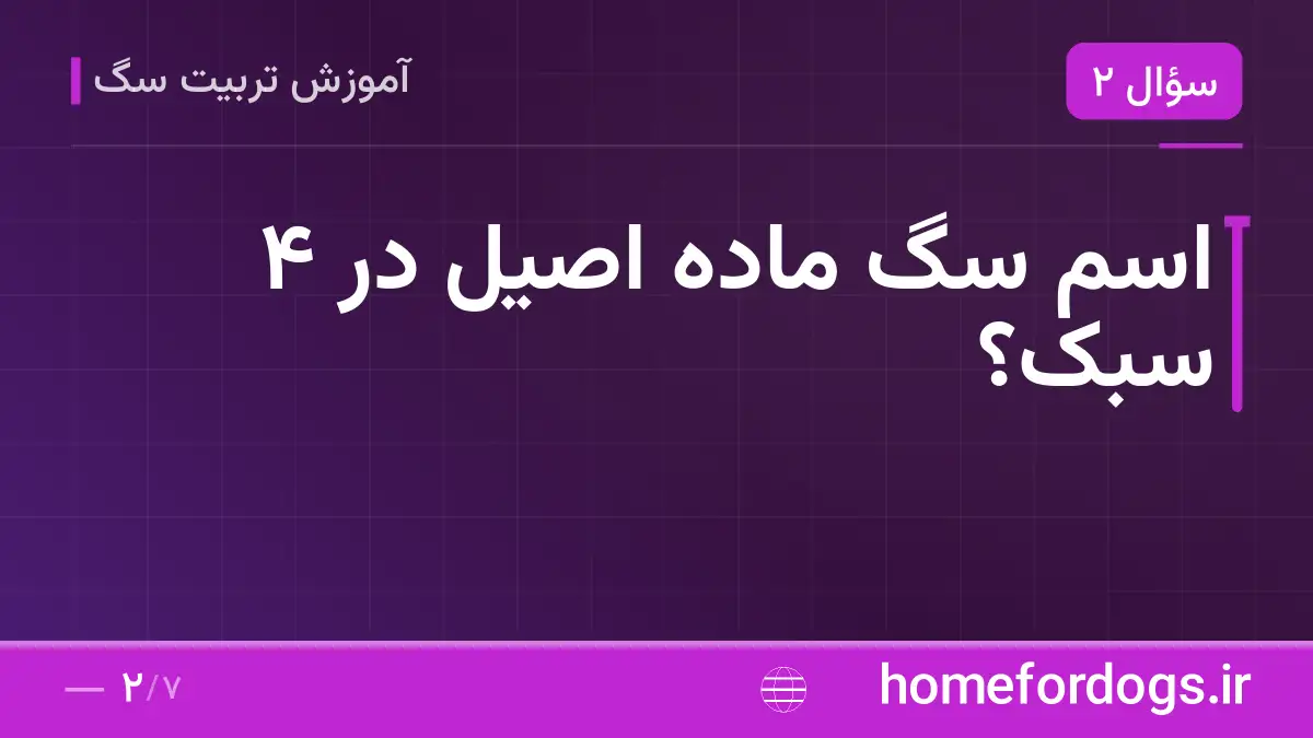 اسم سگ ماده اصیل در ۴ سبک؟