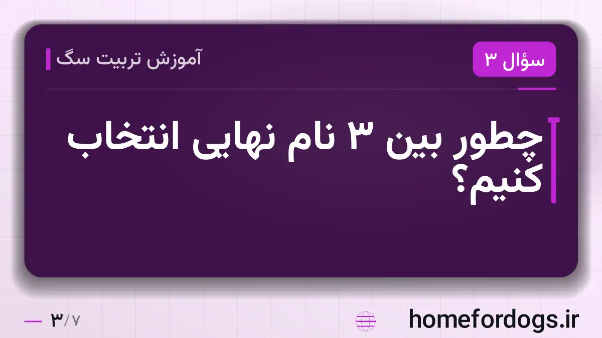چطور بین ۳ نام نهایی انتخاب کنیم؟