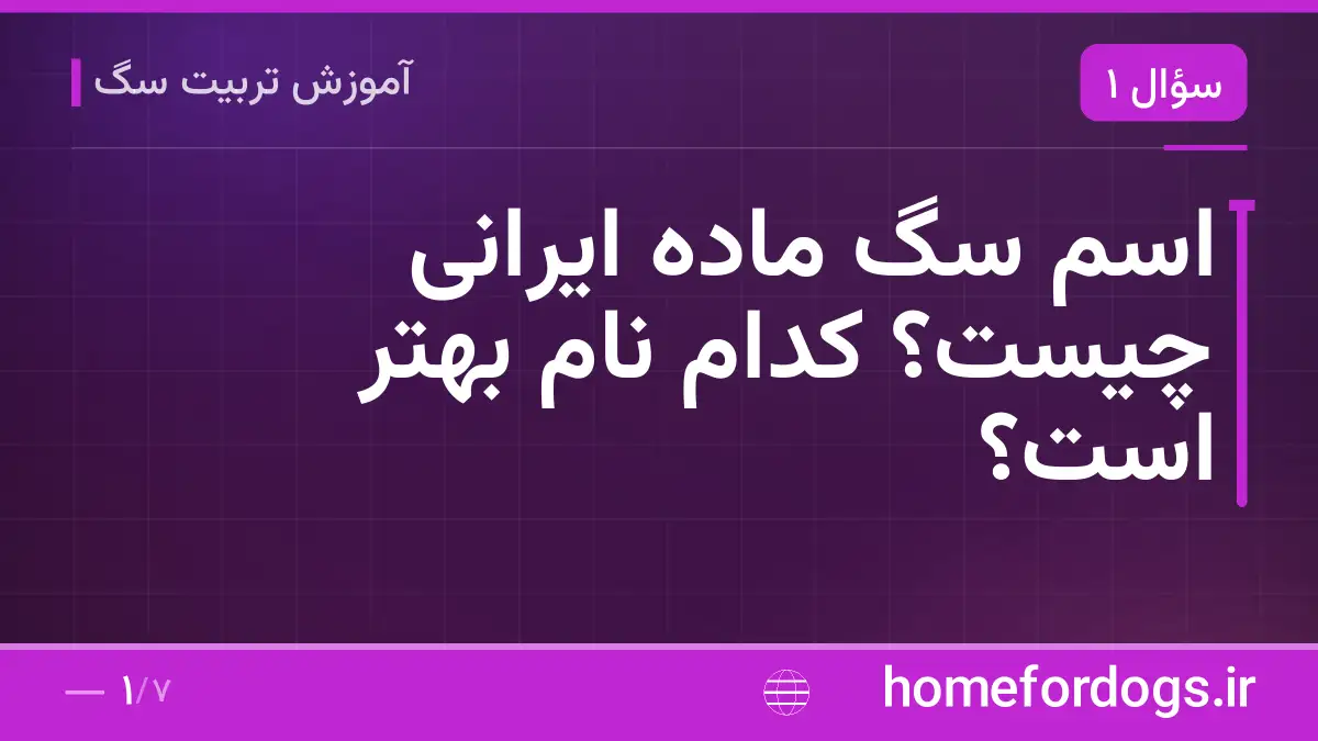 اسم سگ ماده ایرانی چیست؟ کدام نام بهتر است؟