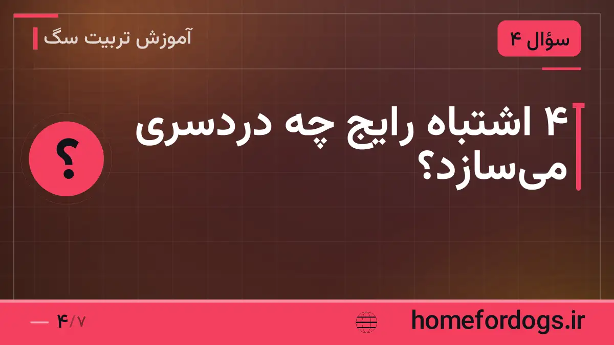 ۴ اشتباه رایج چه دردسری میسازد؟