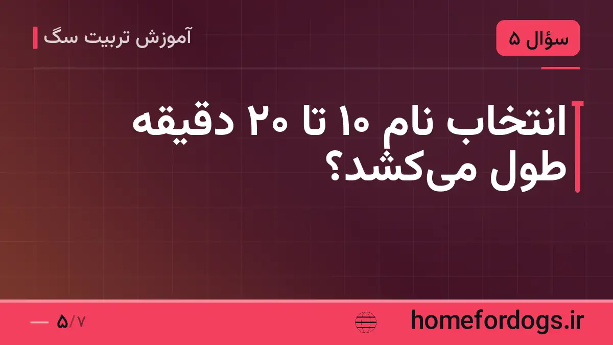 انتخاب نام ۱۰ تا ۲۰ دقیقه طول میکشد؟