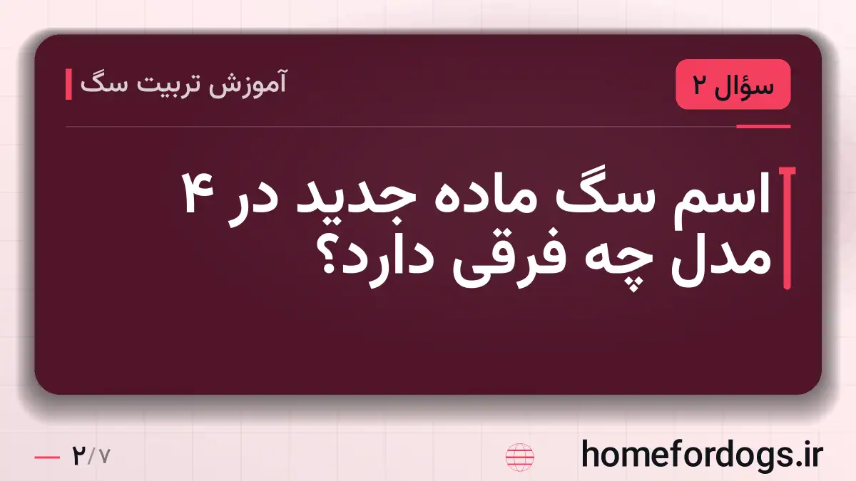 اسم سگ ماده جدید در ۴ مدل چه فرقی دارد؟