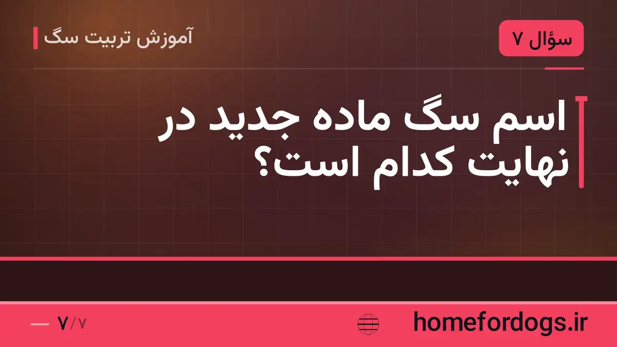 اسم سگ ماده جدید در نهایت کدام است؟
