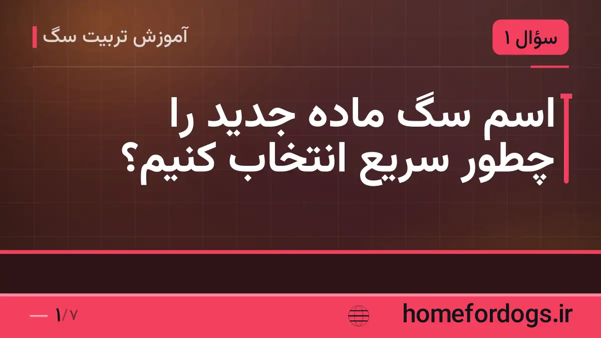 اسم سگ ماده جدید را چطور سریع انتخاب کنیم؟
