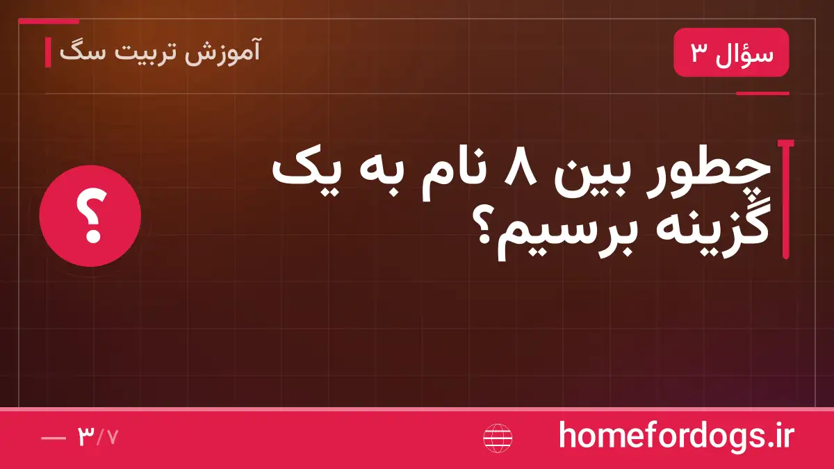 چطور بین ۸ نام به یک گزینه برسیم؟