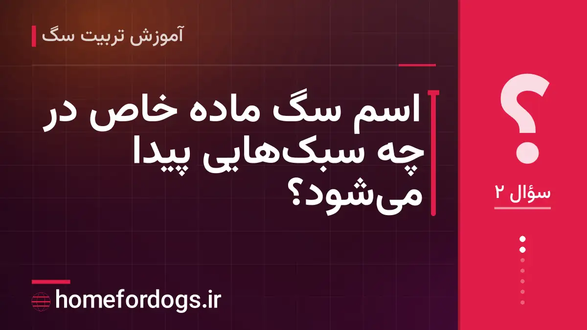 اسم سگ ماده خاص در چه سبک‌هایی پیدا می‌شود؟
