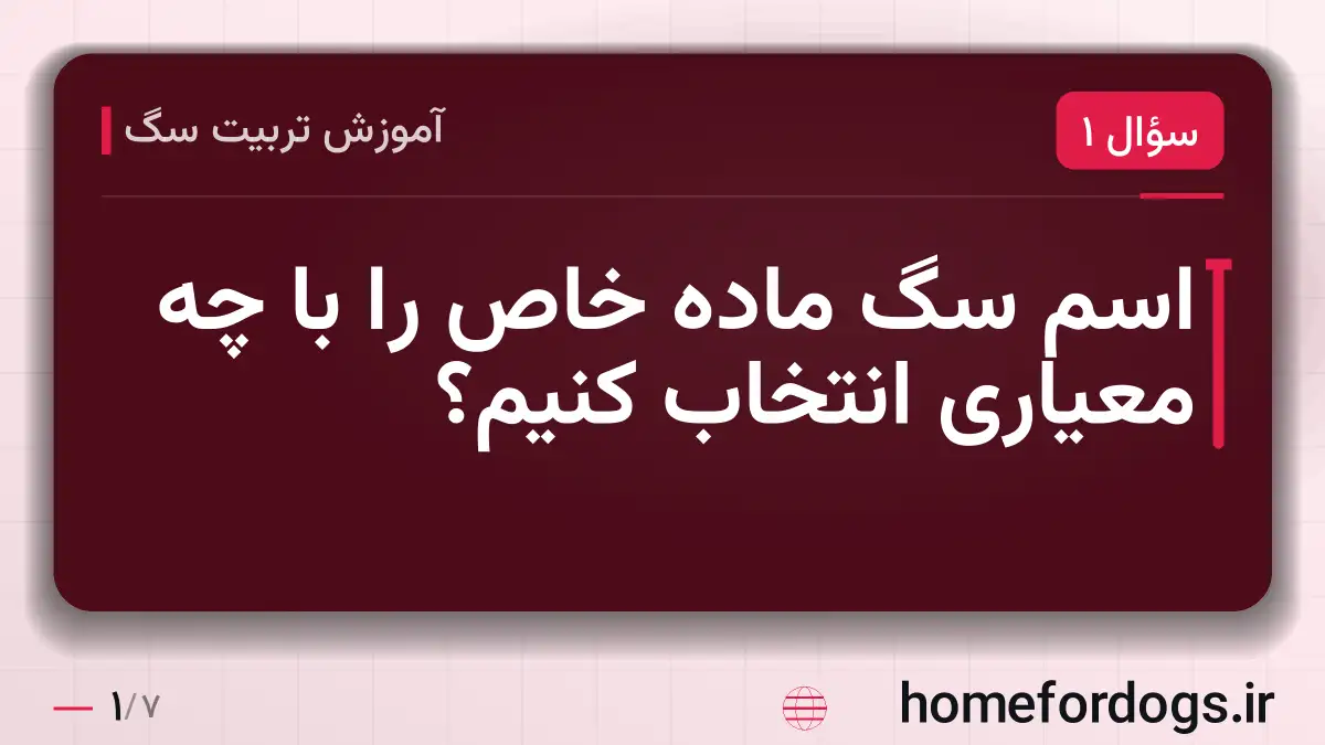 اسم سگ ماده خاص را با چه معیاری انتخاب کنیم؟