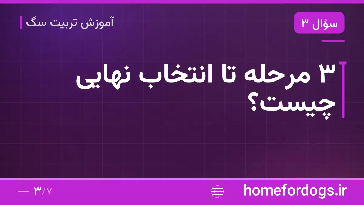 ۳ مرحله تا انتخاب نهایی چیست؟