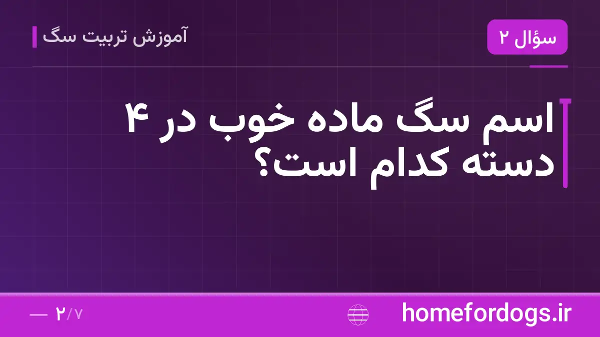 اسم سگ ماده خوب در ۴ دسته کدام است؟