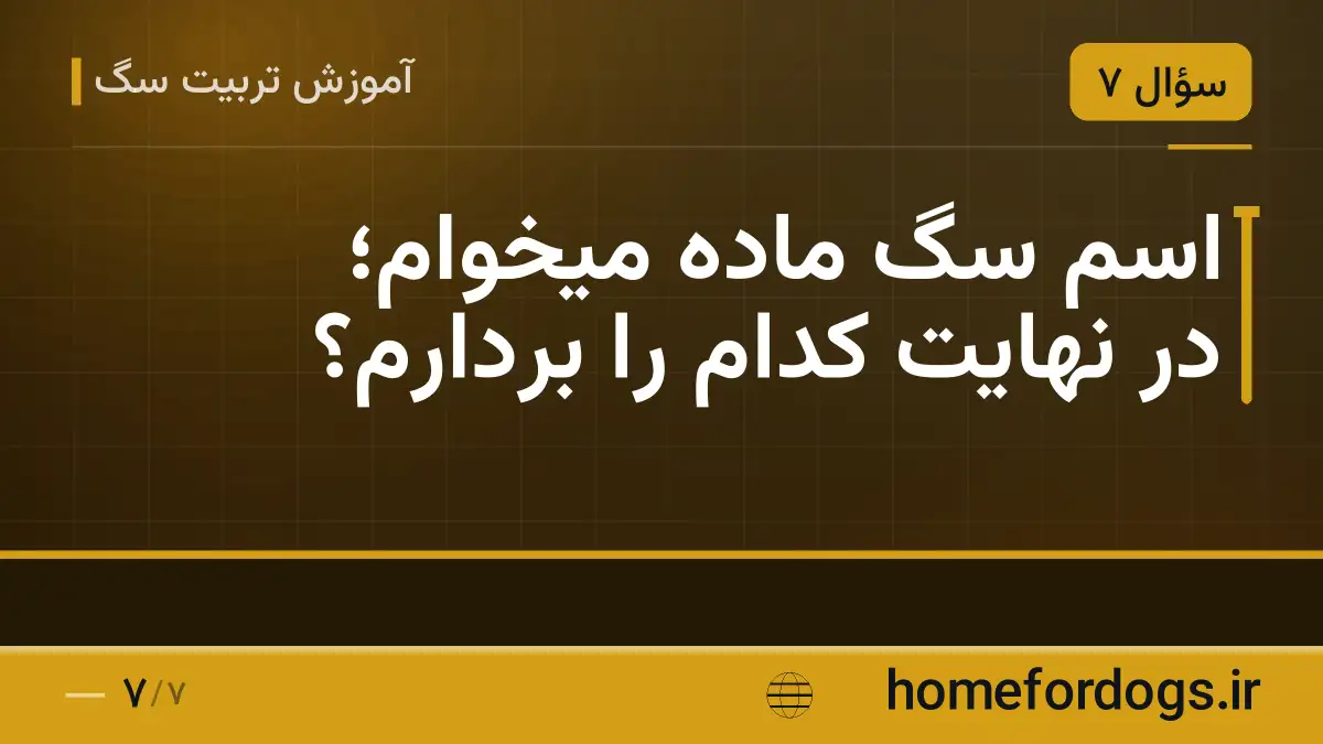 اسم سگ ماده میخوام؛ در نهایت کدام را بردارم؟