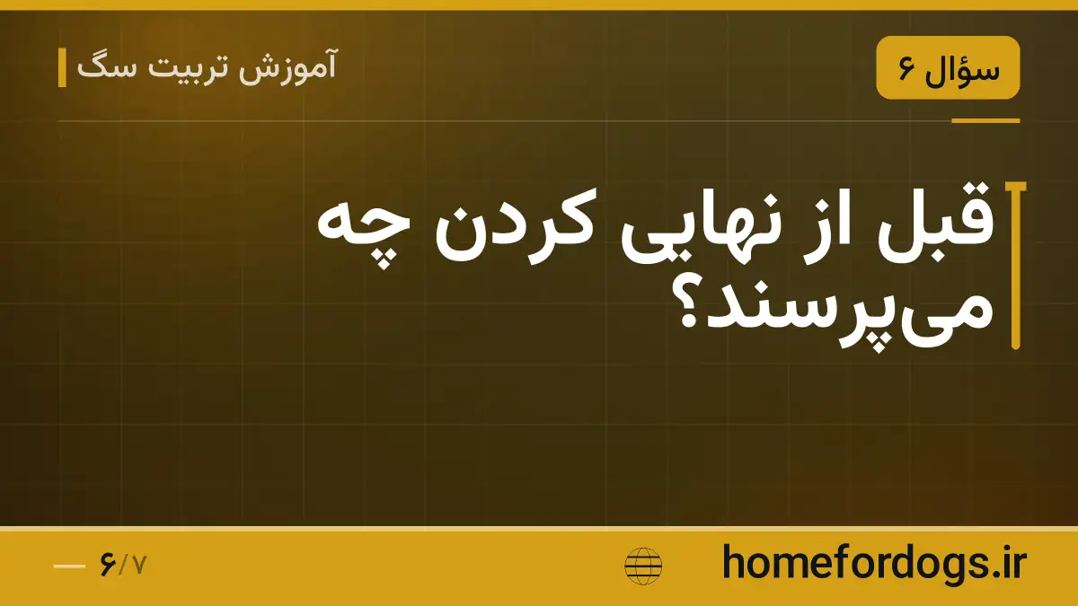 قبل از نهایی کردن چه می‌پرسند؟