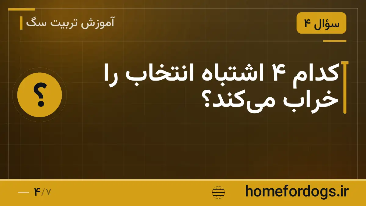 کدام ۴ اشتباه انتخاب را خراب می‌کند؟