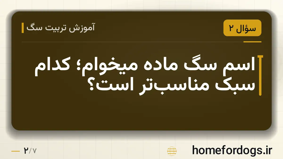 اسم سگ ماده میخوام؛ کدام سبک مناسب‌تر است؟