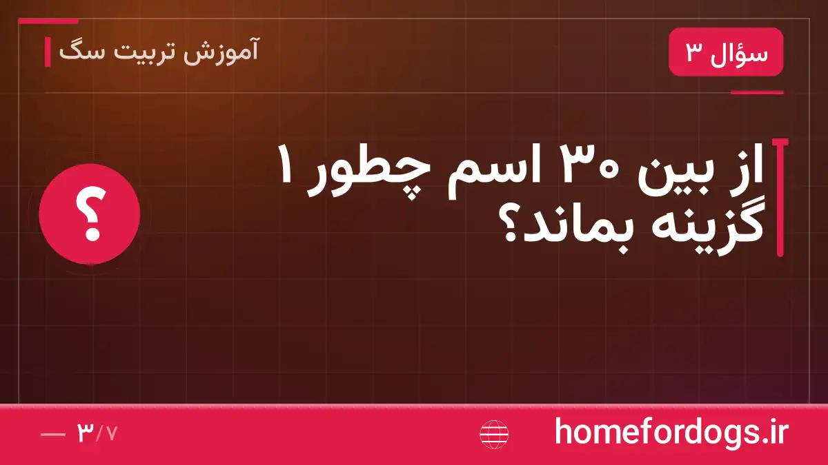 از بین ۳۰ اسم چطور ۱ گزینه بماند؟