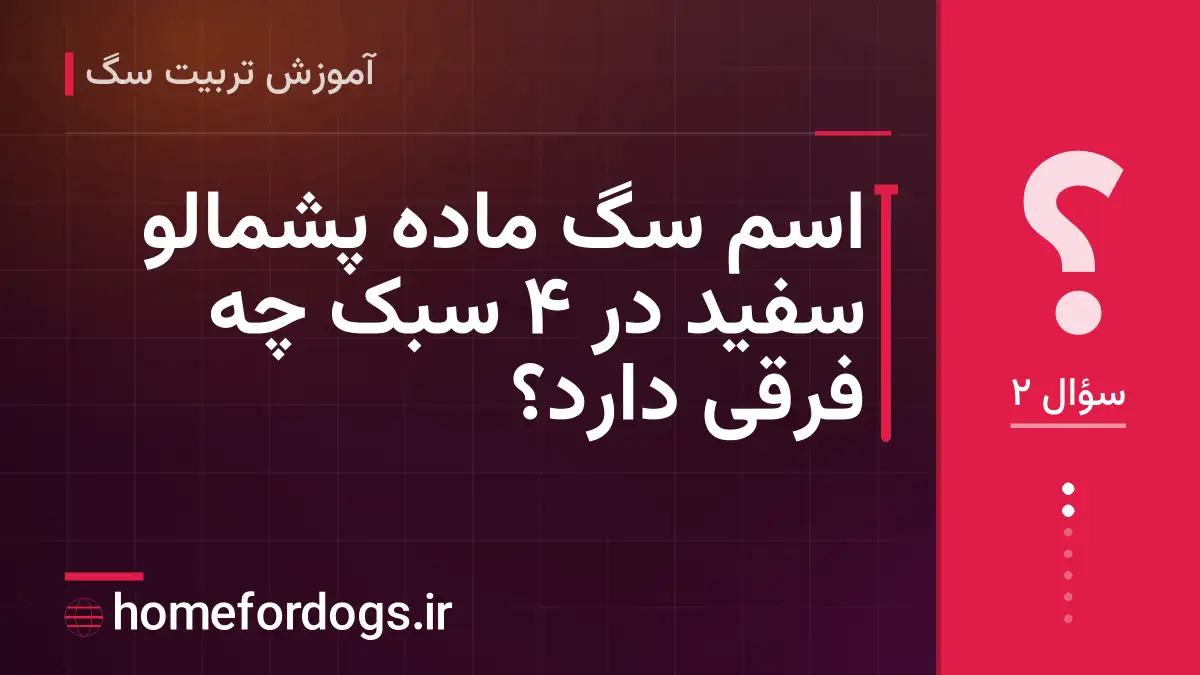 اسم سگ ماده پشمالو سفید در ۴ سبک چه فرقی دارد؟
