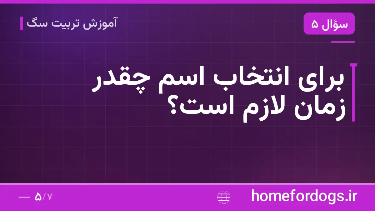 برای انتخاب اسم چقدر زمان لازم است؟