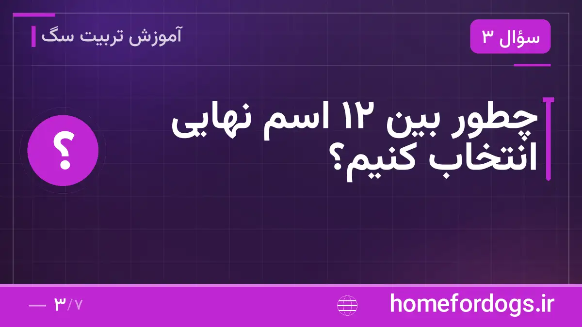 چطور بین ۱۲ اسم نهایی انتخاب کنیم؟
