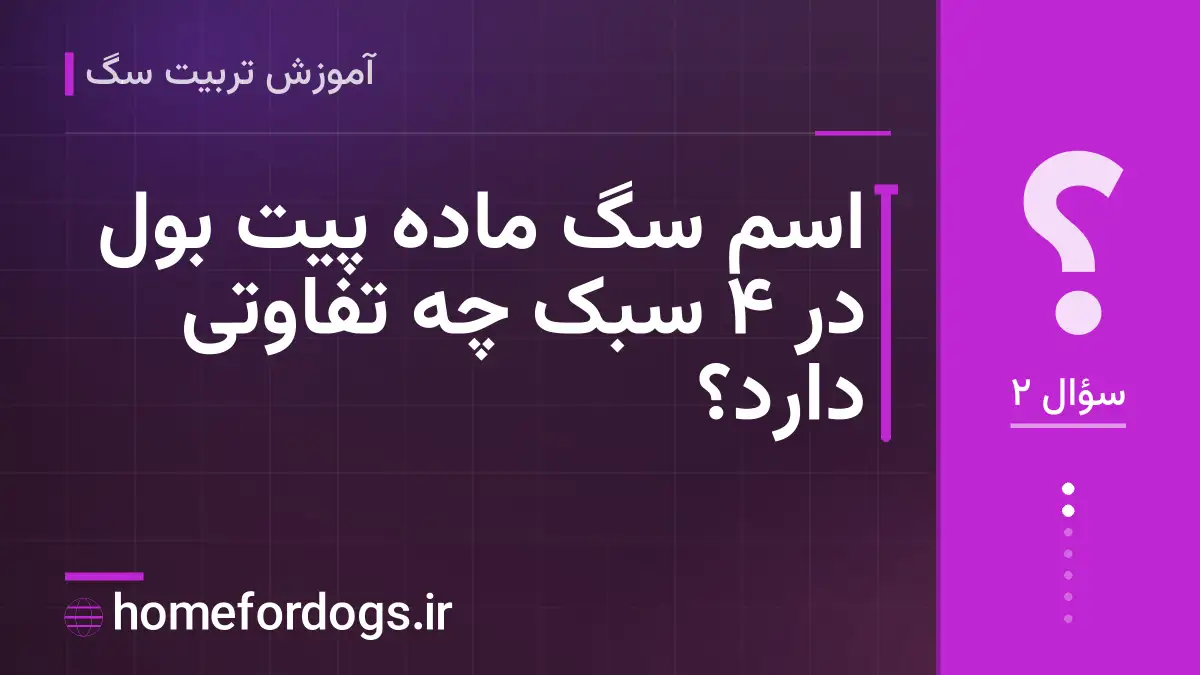 اسم سگ ماده پیت بول در ۴ سبک چه تفاوتی دارد؟