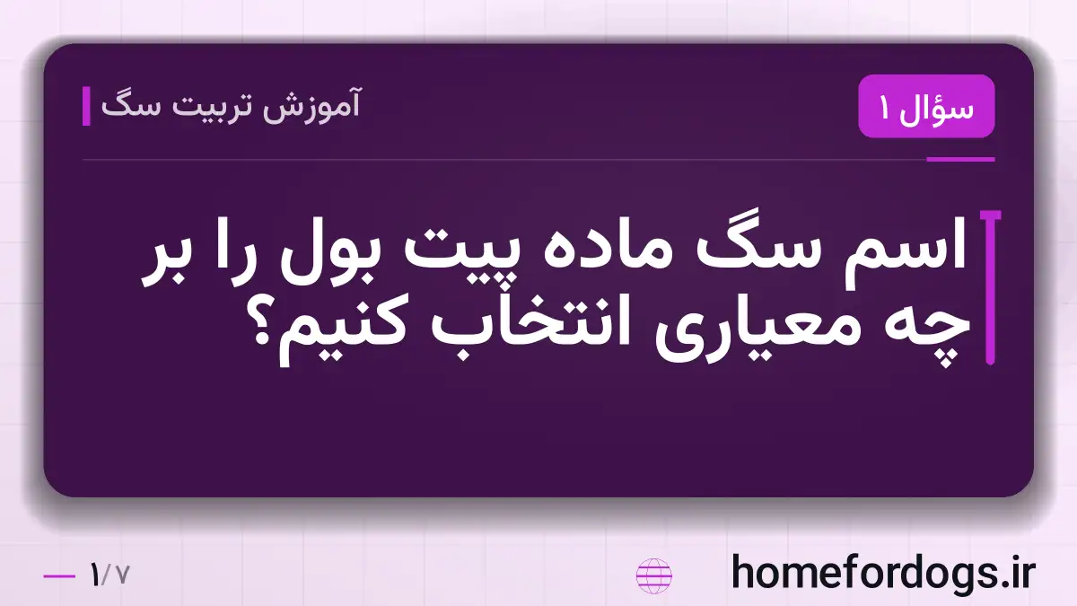 اسم سگ ماده پیت بول را بر چه معیاری انتخاب کنیم؟