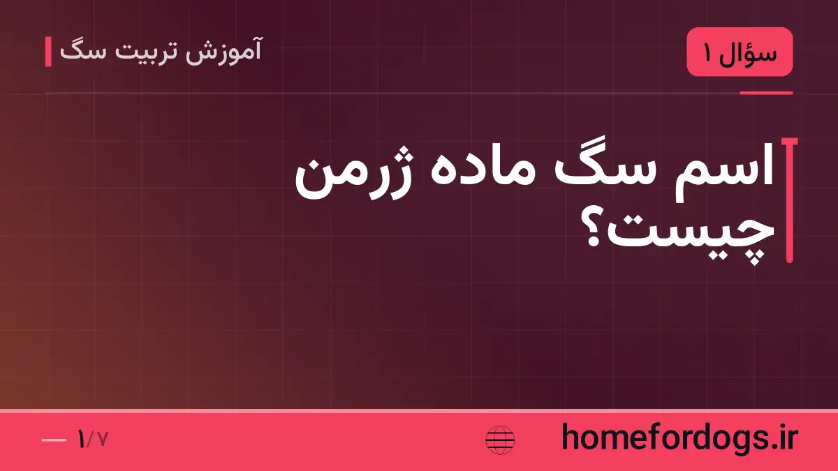 اسم سگ ماده ژرمن چیست؟
