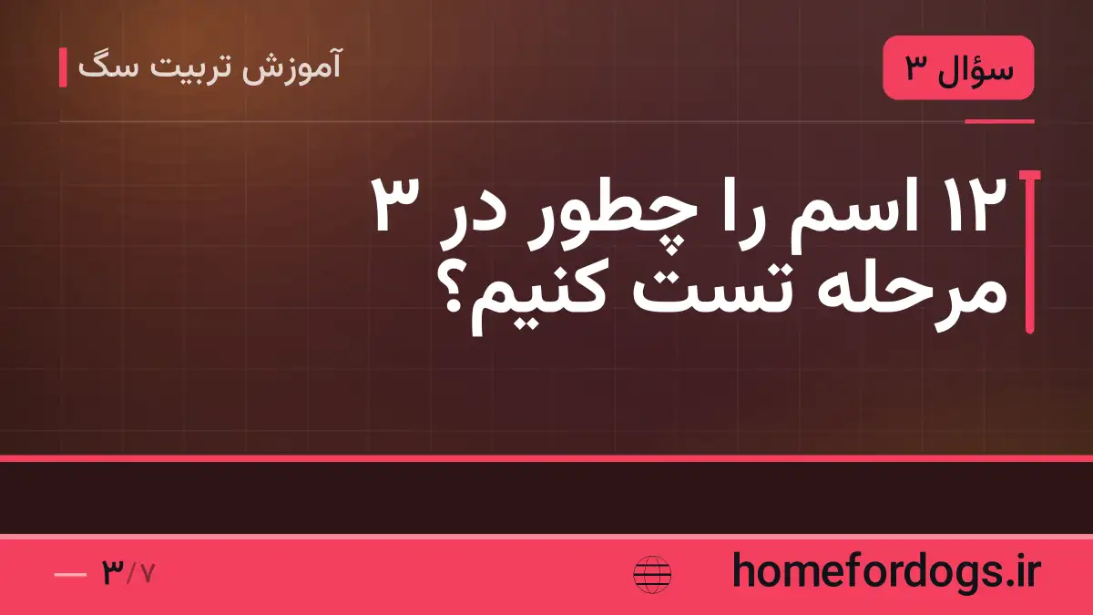 ۱۲ اسم را چطور در ۳ مرحله تست کنیم؟