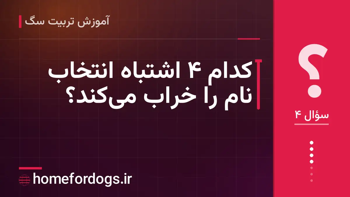 کدام ۴ اشتباه انتخاب نام را خراب می‌کند؟