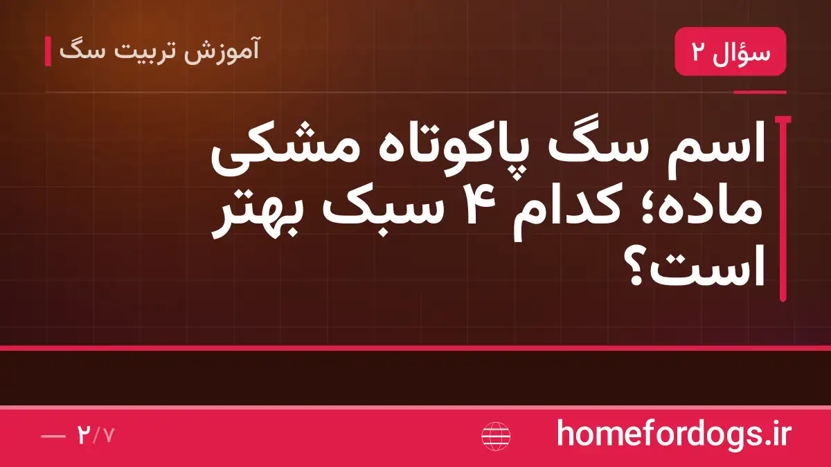 اسم سگ پاکوتاه مشکی ماده؛ کدام ۴ سبک بهتر است؟