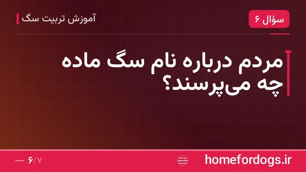 مردم دربارهٔ نام سگ ماده چه می‌پرسند؟