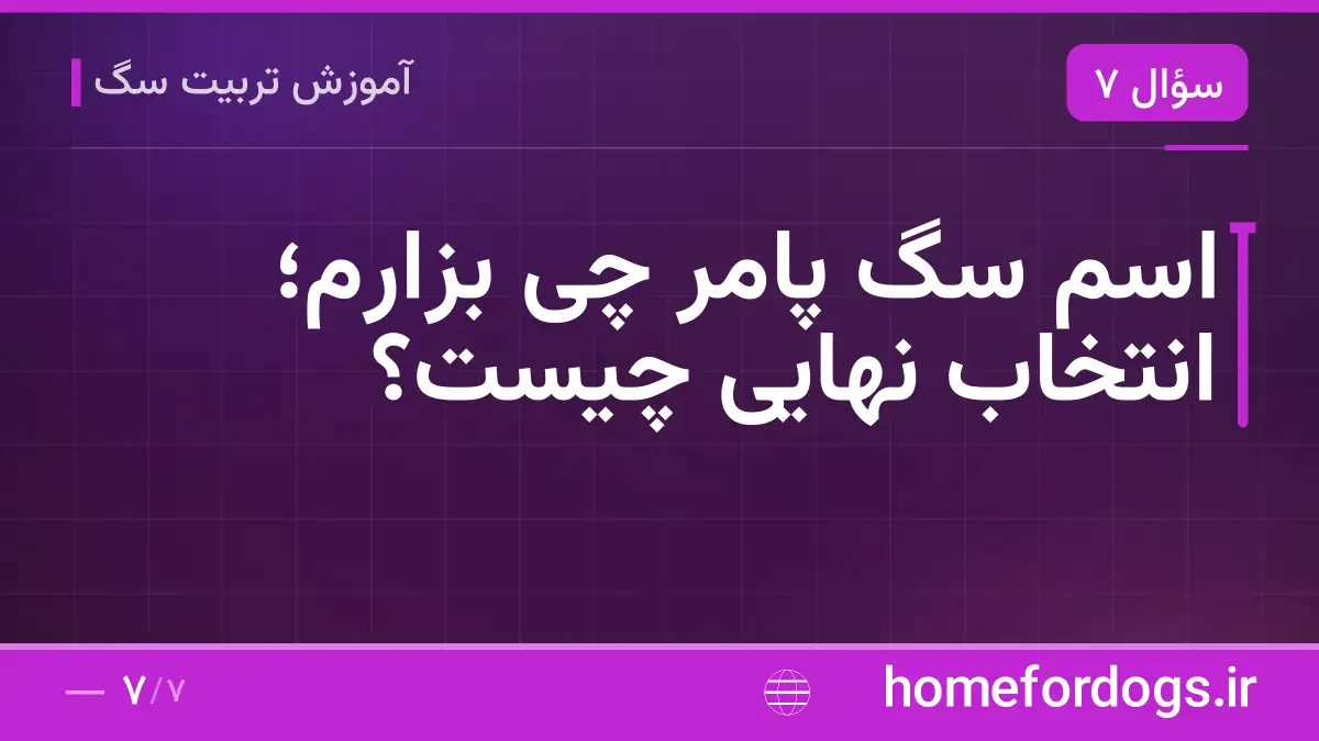 اسم سگ پامر چی بزارم؛ انتخاب نهایی چیست؟