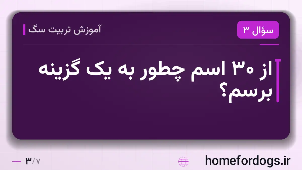 از ۳۰ اسم چطور به یک گزینه برسم؟