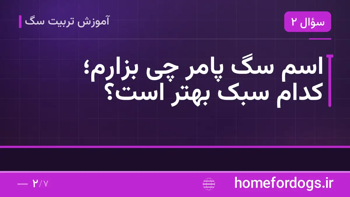 اسم سگ پامر چی بزارم؛ کدام سبک بهتر است؟
