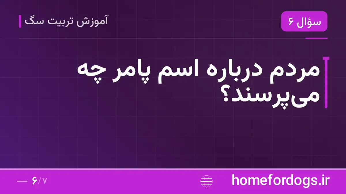 مردم درباره اسم پامر چه می‌پرسند؟
