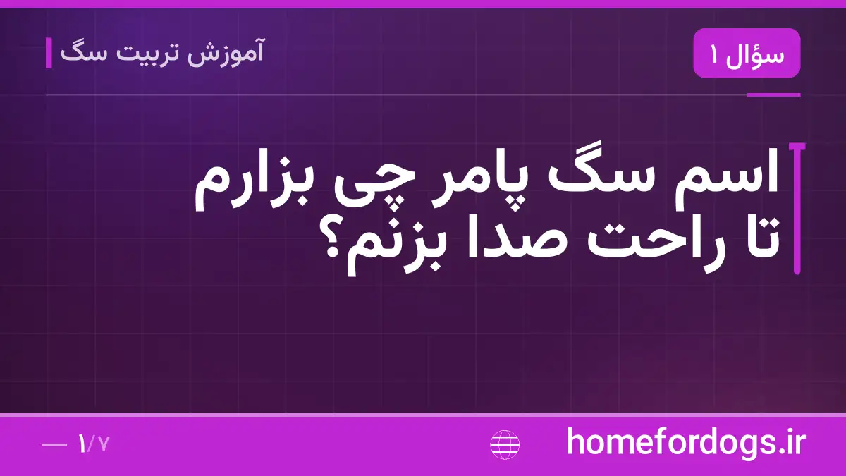 اسم سگ پامر چی بزارم تا راحت صدا بزنم؟
